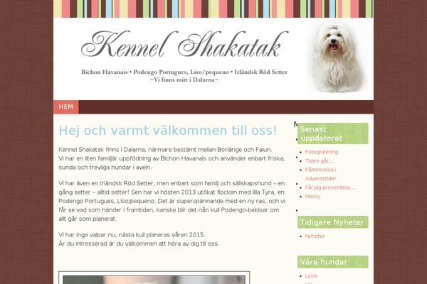 Scrappy theme site design template sample