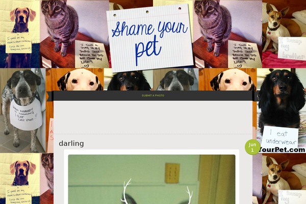 Vintage Camera theme site design template sample