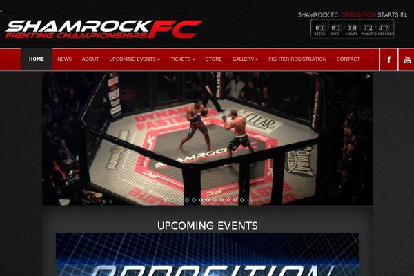 Site using Meks ThemeForest Smart Widget plugin
