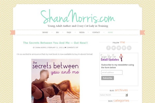 Sugar and Spice theme site design template sample