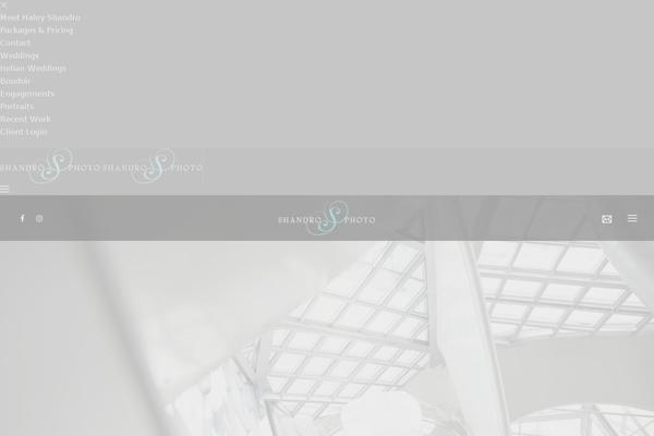 Site using Gravity Forms No CAPTCHA reCAPTCHA plugin