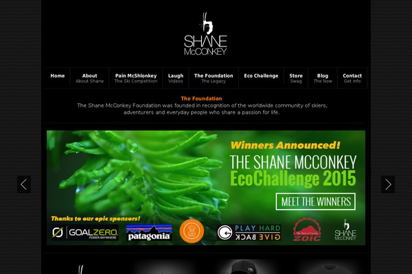 Pointbreak theme site design template sample
