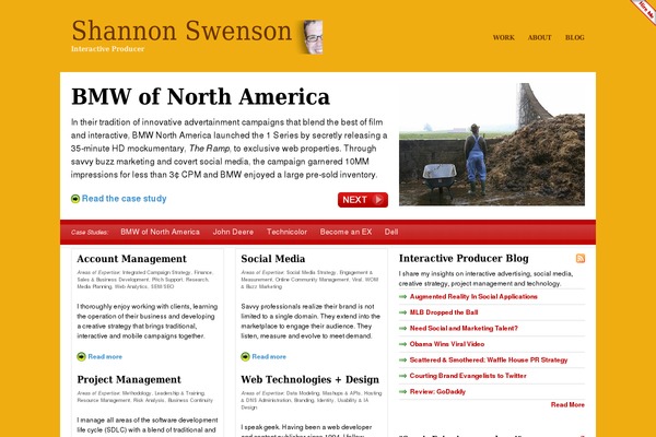 Vibrant Cms theme site design template sample