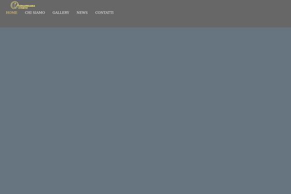 Site using Elfsight-instagram-feed-cc plugin
