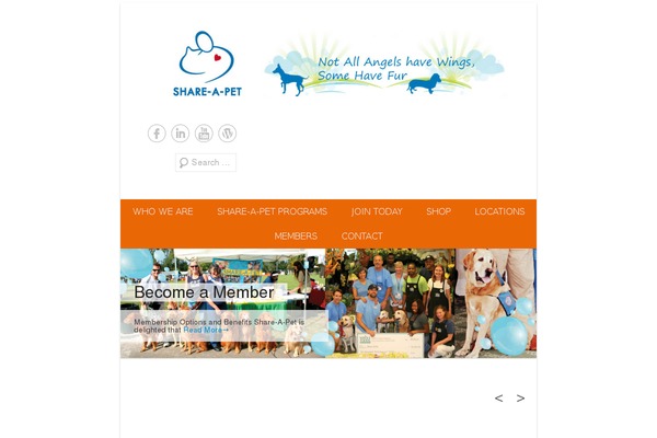 Catch Everest Pro theme site design template sample