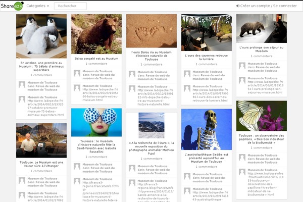 iPin Pro theme site design template sample