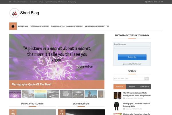 Adams theme site design template sample