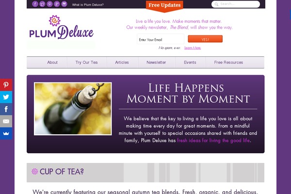 Function theme site design template sample