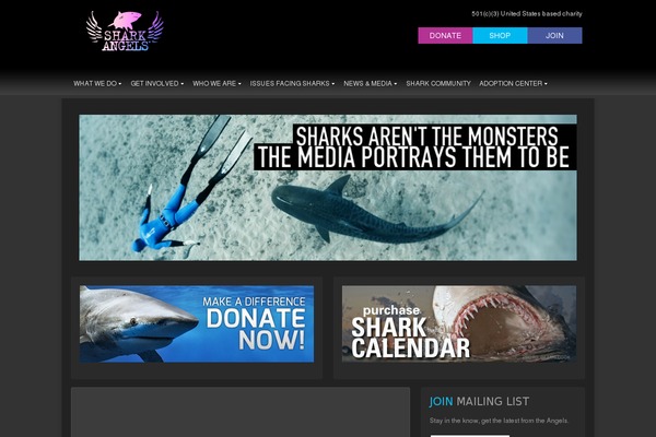 Benevolent-pro theme site design template sample