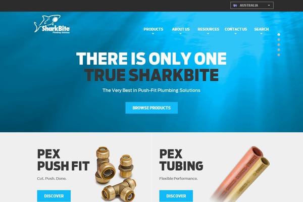 Cesis theme site design template sample