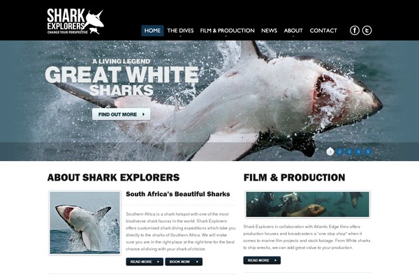 Shark theme site design template sample
