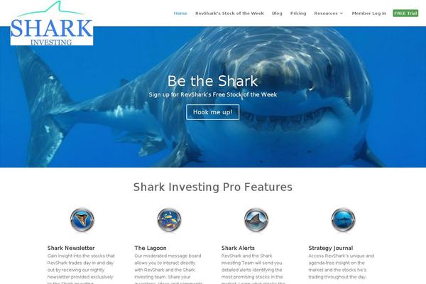 Divi theme site design template sample