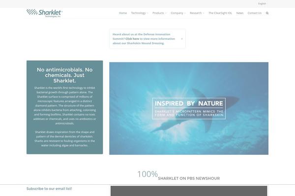 Route theme site design template sample