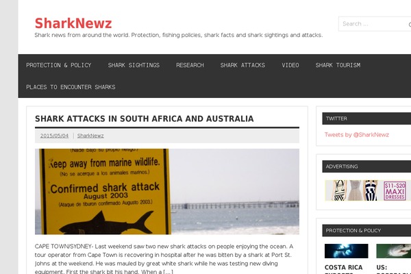 Dynamic News Lite theme site design template sample