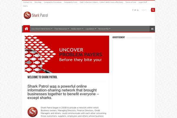 Sahifa theme site design template sample