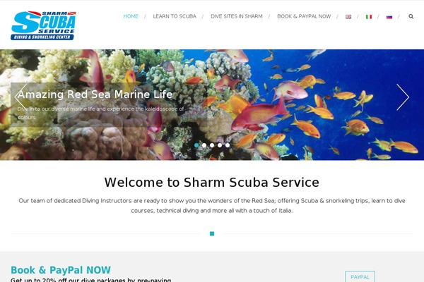 Site using Wp-facebook-reviews plugin