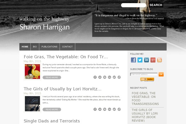 Sh theme site design template sample