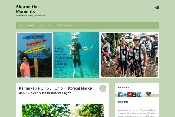 Site using Pinterest-site-verification plugin
