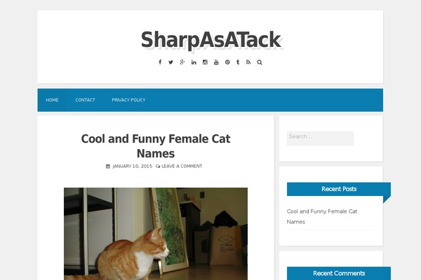 Blogghiamo theme site design template sample