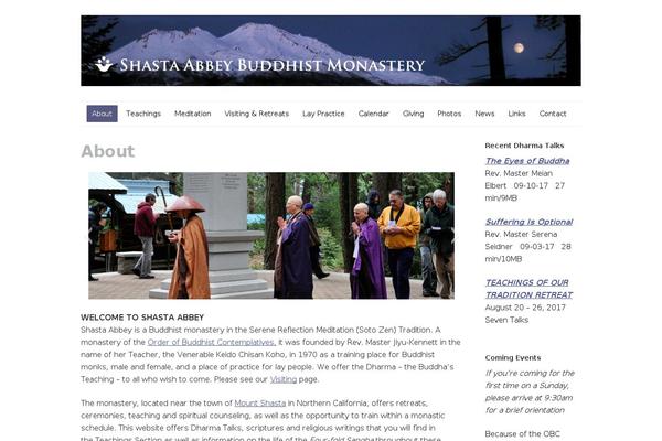 Builder-air-custom theme site design template sample