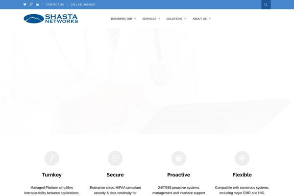 Magnium theme site design template sample