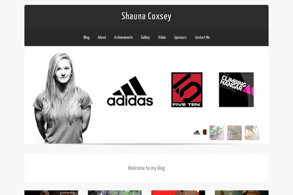Site using GD Press Tools plugin