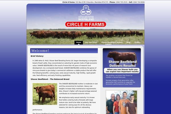 Starkers theme site design template sample