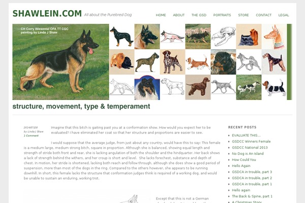 Yoko theme site design template sample