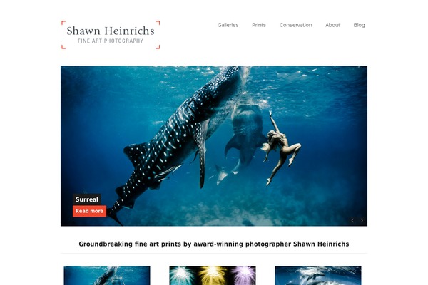 Portfolio theme site design template sample