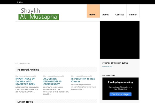 Delicious Magazine theme site design template sample