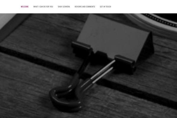 Vigor theme site design template sample