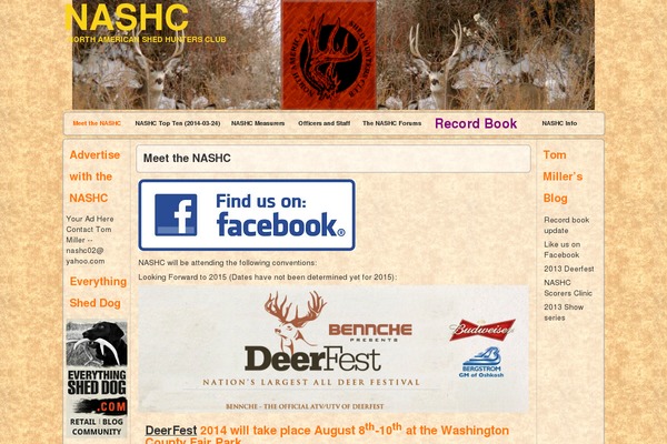 Constructor theme site design template sample