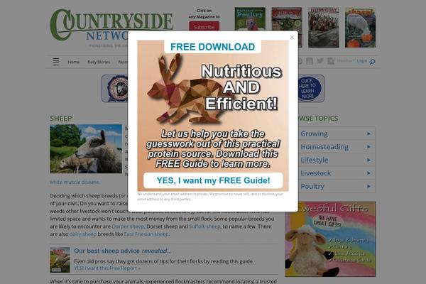 sheep theme websites examples