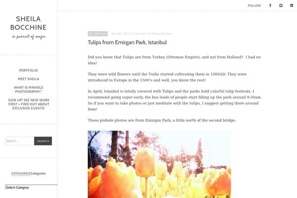 Namba theme site design template sample