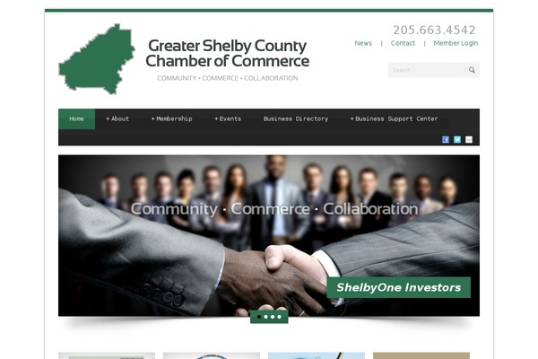 BusinessEducation theme websites examples