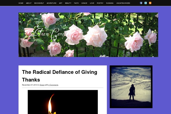 sheliamullican.com site used Standardtheme_25