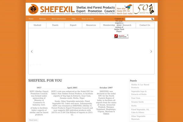 Newscast theme site design template sample