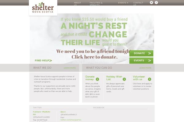 Site using DevBuddy Twitter Feed plugin