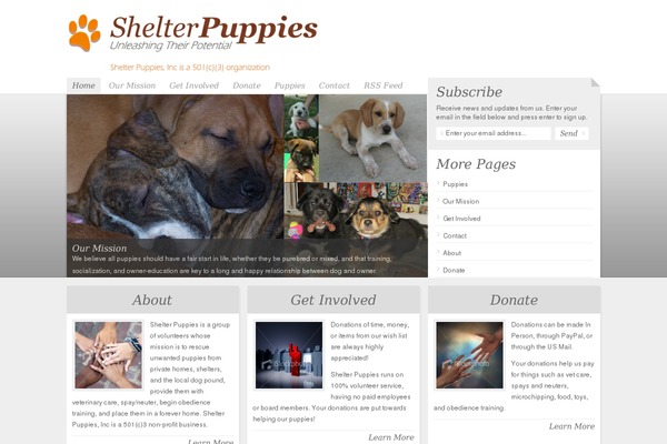 NonProfit theme site design template sample