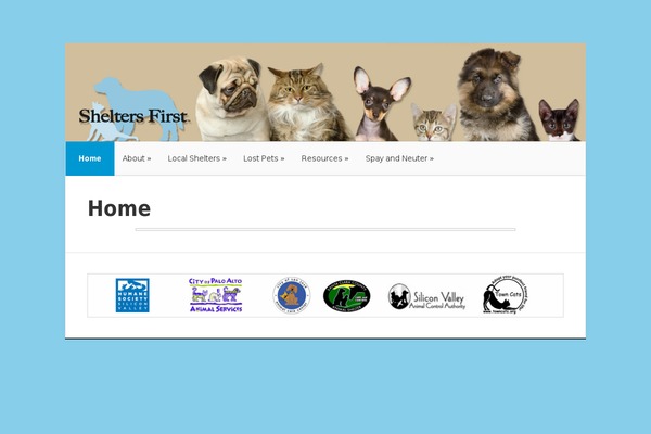 Nexus theme site design template sample