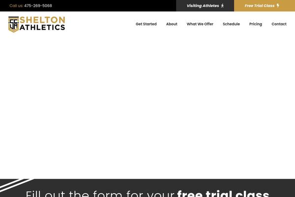 Zyth theme site design template sample
