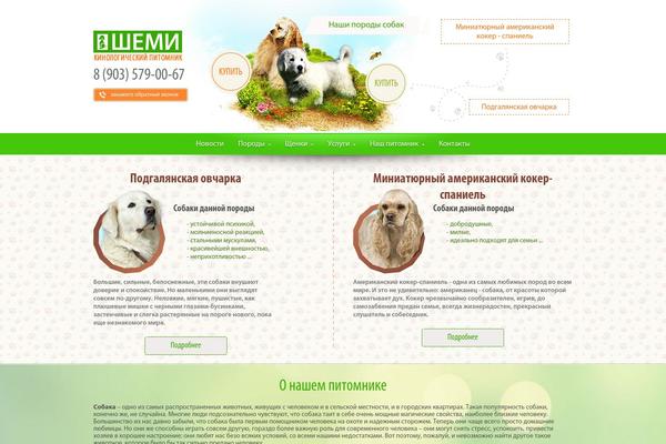 Site using Best WordPress FAQ plugin
