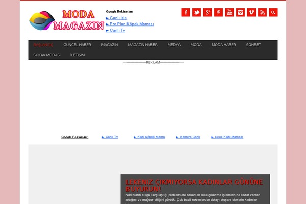 Magazino theme site design template sample
