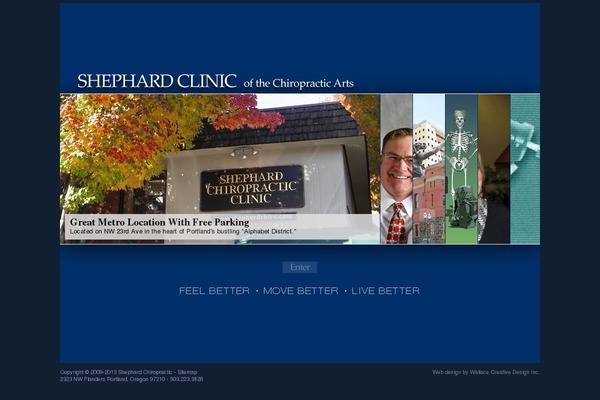 shephardchiro.com site used Shep