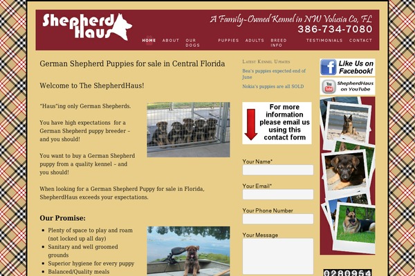Thesis 1.8.5 theme site design template sample