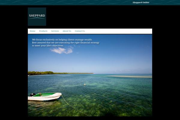 Design-services-standard theme site design template sample