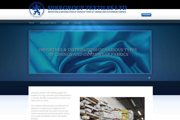 Entrepeneur theme site design template sample