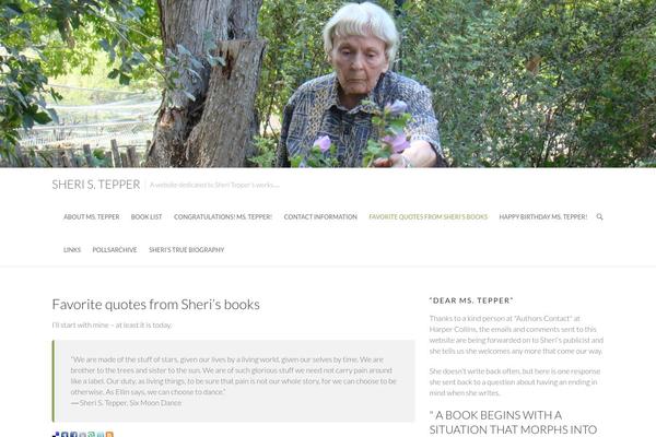 Ambition theme site design template sample