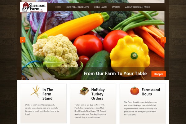 Theme1384 theme site design template sample