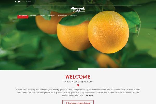 Site using Arabic Font plugin